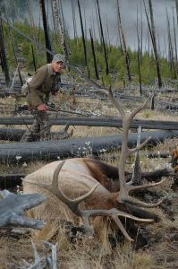 Headed for cover at 330 yards, this bull fell to Wayne’s Nosler from a 7mm WSM. A long poke, prone.