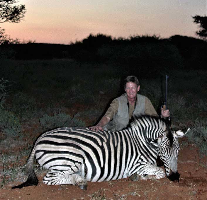 This zebra went 200 yards when shot with a .375 H&H.